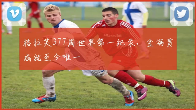 格拉芙377周世界第一纪录,金满贯成就至今唯一
